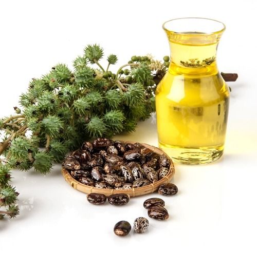 Organic Castor Seed Oil