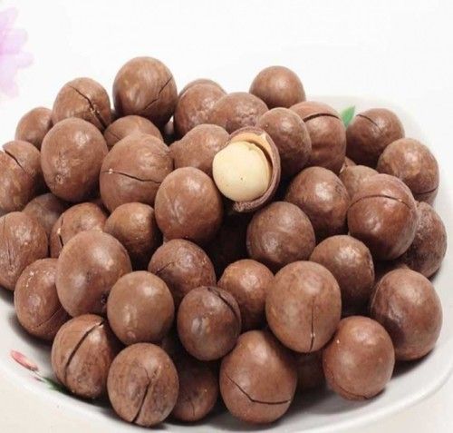 Raw Organic Macadamia Nuts Broken (%): 5% Max