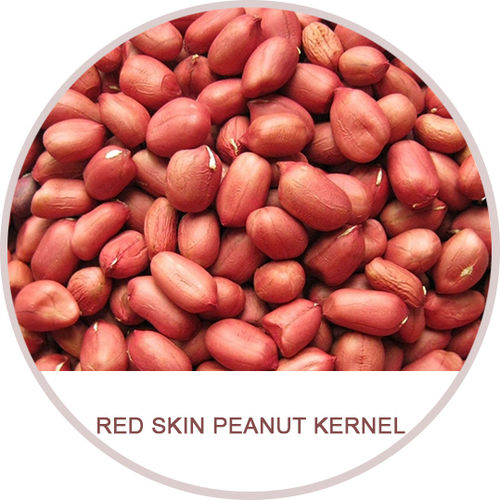 Red Skin Peanut Kernel