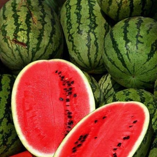 Rich Tasty Sweet Watermelon