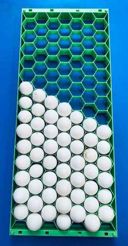 Green Abs Egg Setting Tray