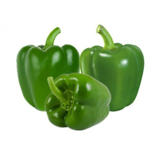 Fresh Healthy Green Capsicum