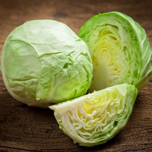 Rich Nutritional Fresh Cabbage