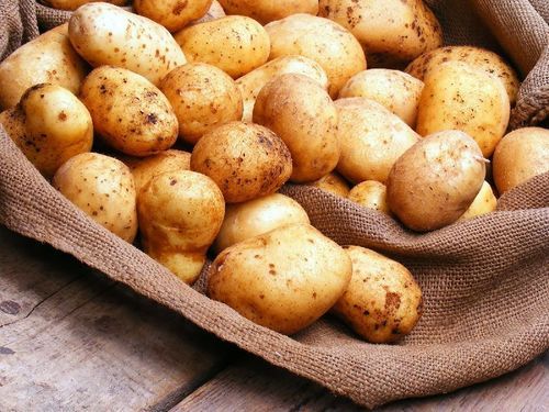 Rich Nutritional Fresh Potato
