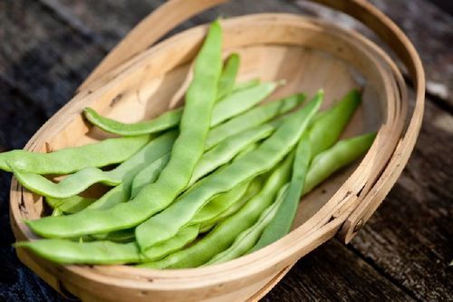 Healthy Green Garden Peas