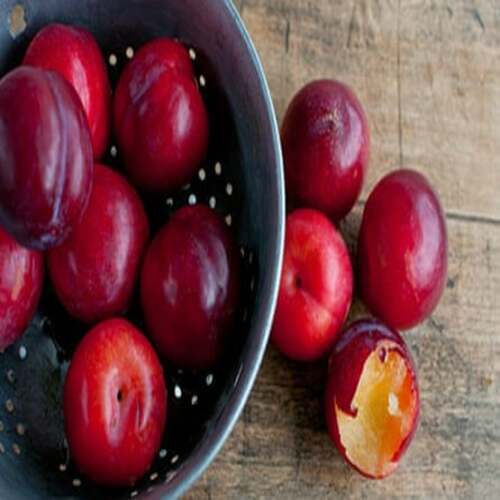 Organic Fresh And Healthy Plum