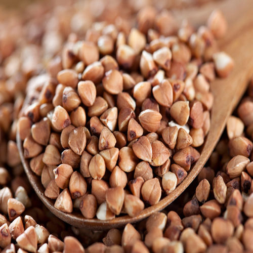 Healthy Brown Buckwheat Seeds