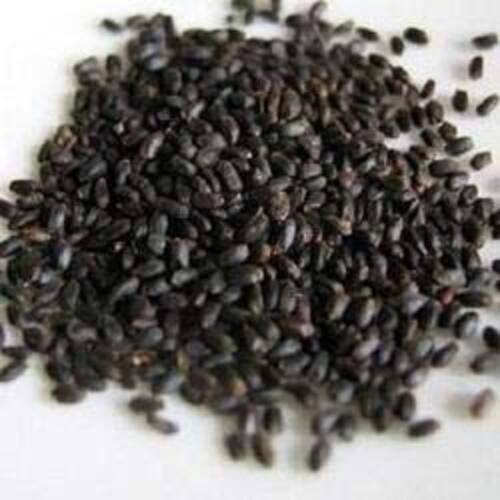 Black Organic And Natural Basil Seeds