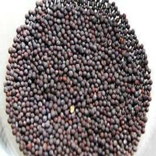 Organic and Natural Black Mustard Seeds