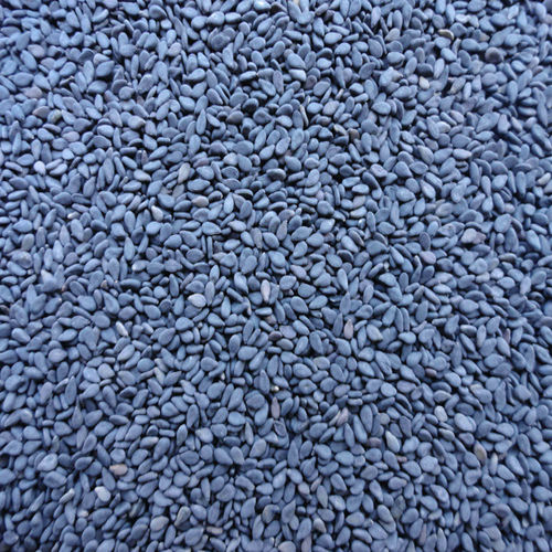 Organic And Natural Black Sesame Seeds Grade: Food Grade