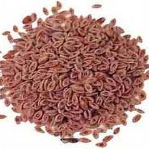 Brown Organic And Natural Psyllium Seeds