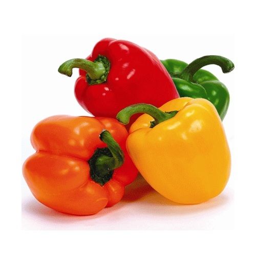 Healthy And Natural Fresh Capsicum