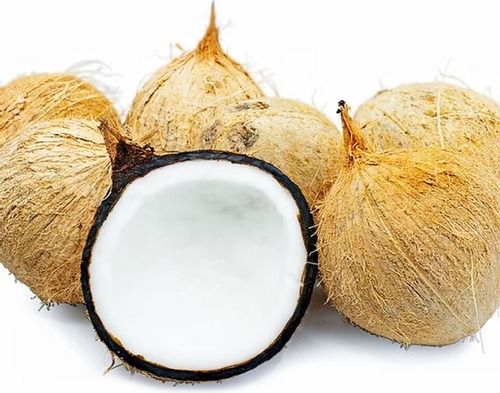  प्राकृतिक पूरी तरह से भूसा हुआ नारियल