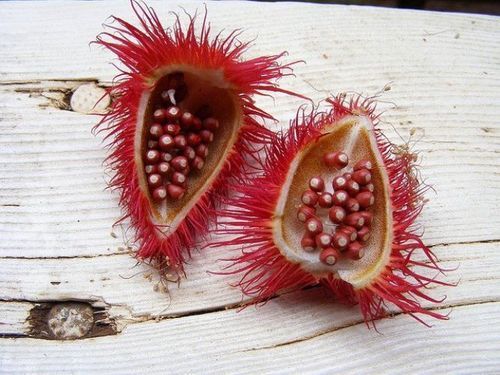 Natural Red Annatto Extract