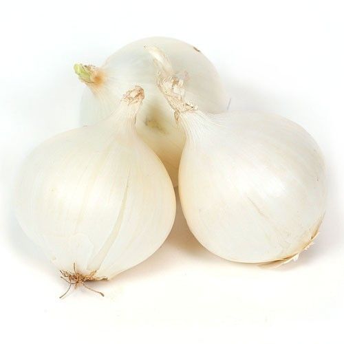 Organic and Healthy Fresh White Onion