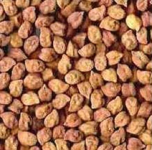 Organic Black Chickpeas (Kabuli Chana)