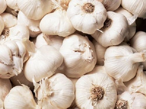 Seasoned Farm Fresh White Garlic