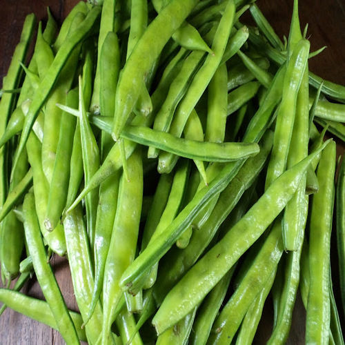 Healthy and Natural Fresh Cluster Beans