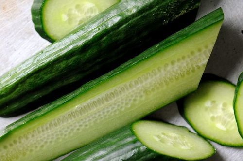 Organic and Natural Fresh Cucumber