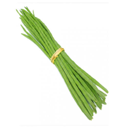 Organic and Natural Fresh Green Drumstick