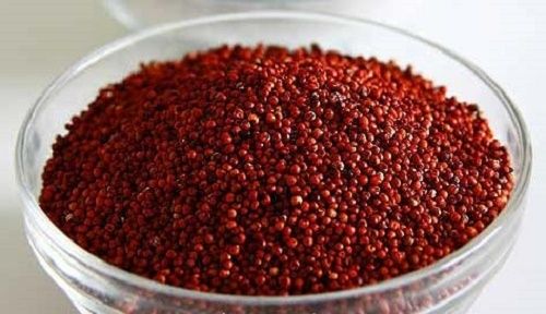 Organic Dried Ragi Seeds