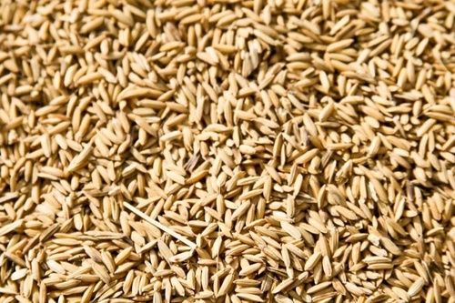 Organic Dried Rice Grain