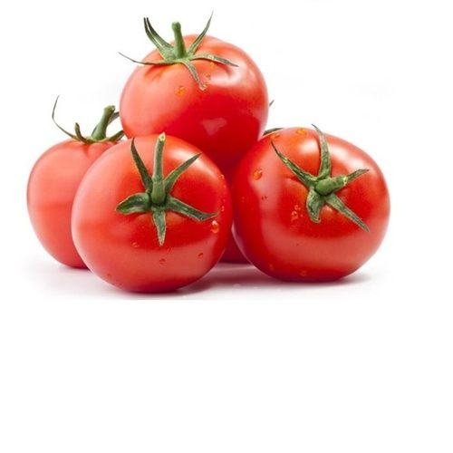 Round Farm Fresh Red Tomato