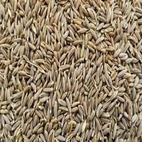Healthy and Natural Cumin Seeds