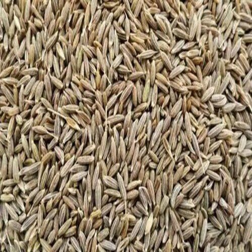 Common Healthy And Natural Cumin Seeds