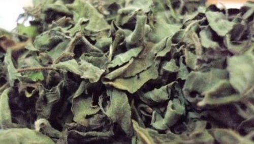 Natural Dried Tulsi Leaves Age Group: Suitable For All