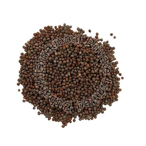 100% Natural Mustard Seeds Shelf Life: 4-6 Months