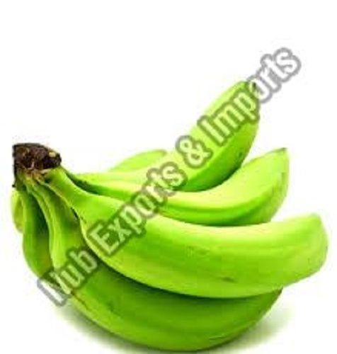 Common Farm Fresh Green Banana