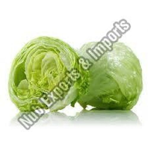 Farm Fresh Green Lettuce