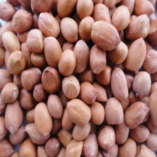 Healthy and Natural Off White Groundnut