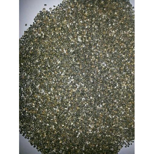 Highly Nutritious Chia Seeds