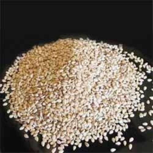 Natural White Sesame Seed