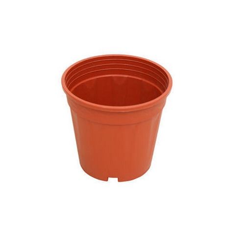 Plastic Round Terracotta Pots (6 Inch)