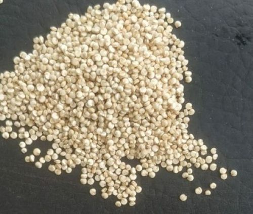 White Color Quinoa Seed