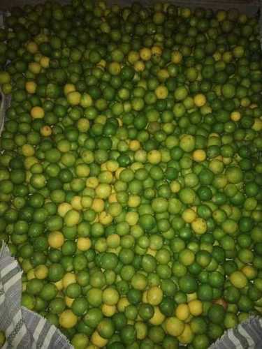 Wholesale Price Fresh Lemon