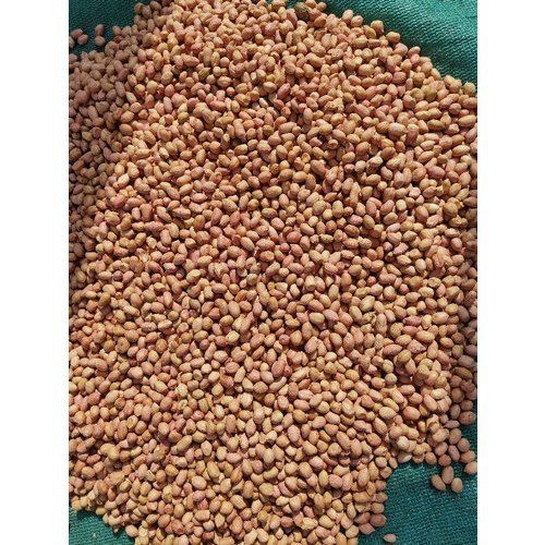 Batani Bold Groundnut Seed