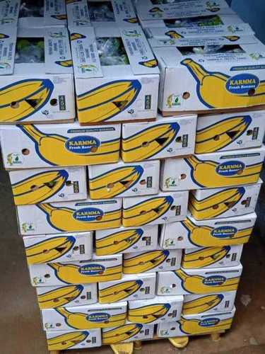 Best Price Fresh Banana