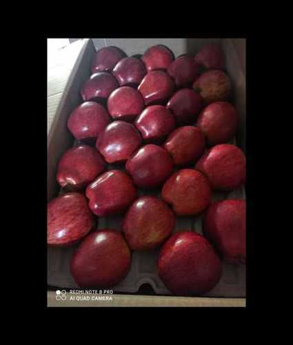 Fresh Shimla Red Apple