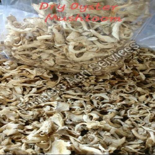 Healthy and Natural Dried Oyster Mushroom