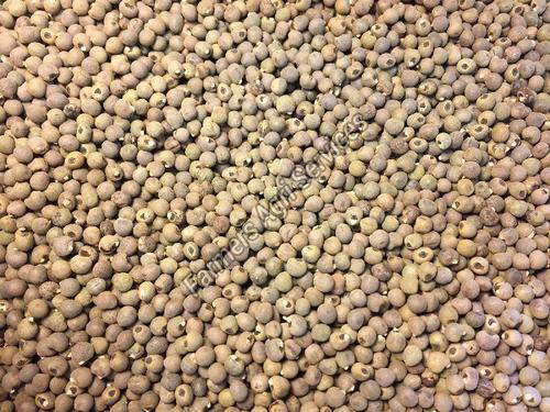 Healthy And Natural Hybrid Brown Okra Seeds