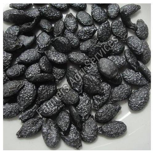 Healthy and Natural Hybrid Ridge Gourd Seeds