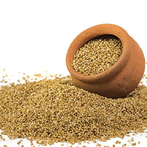 Common Healthy And Natural Kodo Millet