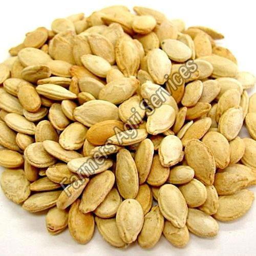 Common Healthy And Natural Long Yellow Melon Seeds