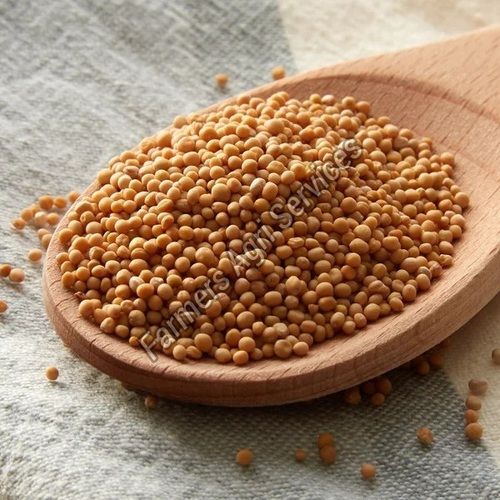 Healthy and Natural Mustard Seeds