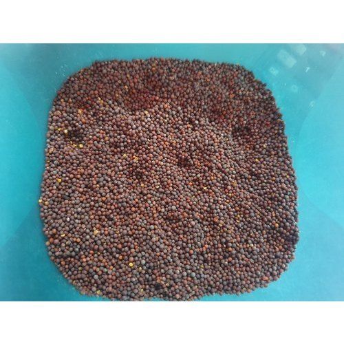 Highly Nutritious Brown Mustard Seed