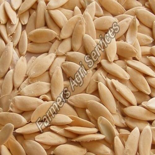 Hybrid and Natural Brown Cucumber Seeds